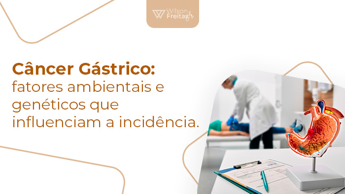 Modelo anatômico de estômago em destaque sobre uma mesa com documentos, enquanto uma médica examina um paciente ao fundo.