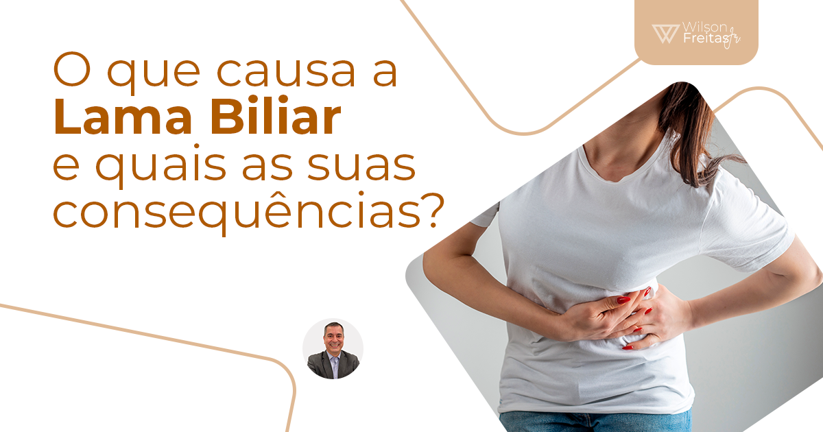 Ultrassom De Lama Da Vesicula Biliar